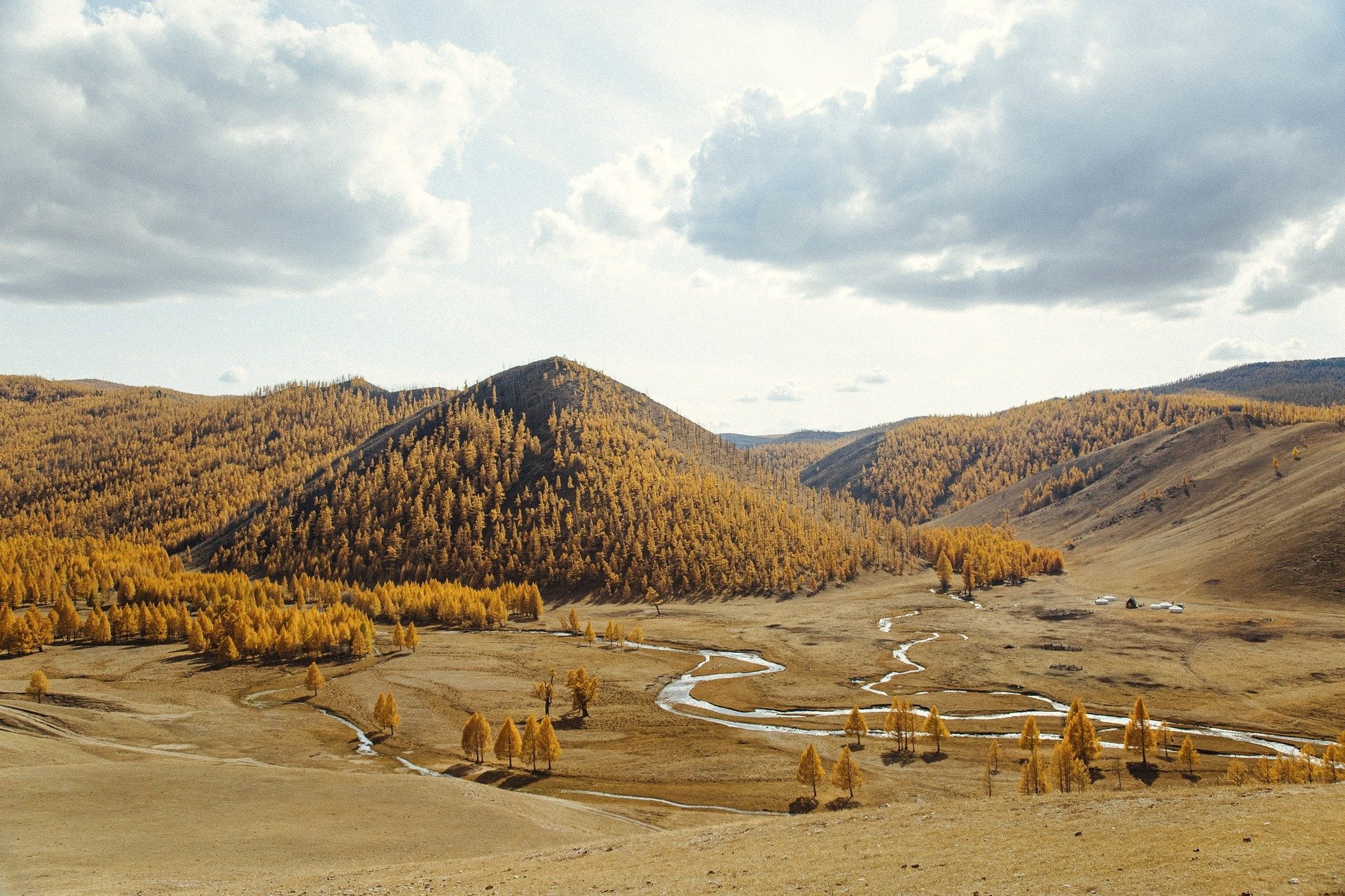 Thảo nguyên, rừng thông vàng, suối nhỏ và núi đồi đẹp vô thực của Mông Cổ