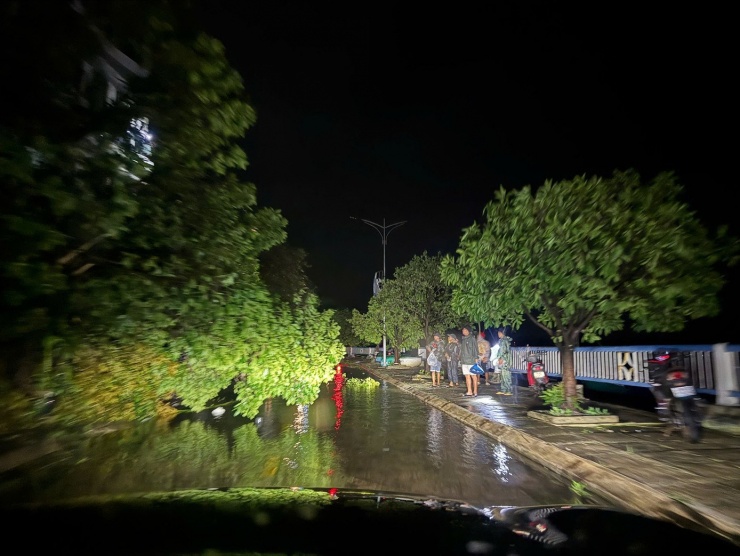 Cây xanh bị quật ngã do bão.