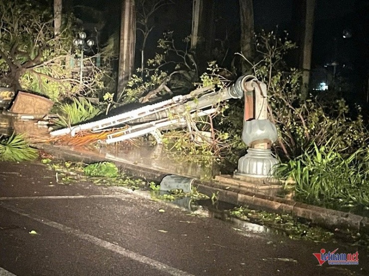 Trụ điện gãy làm hỏng chậu hoa. Ảnh: Trần Hoàn