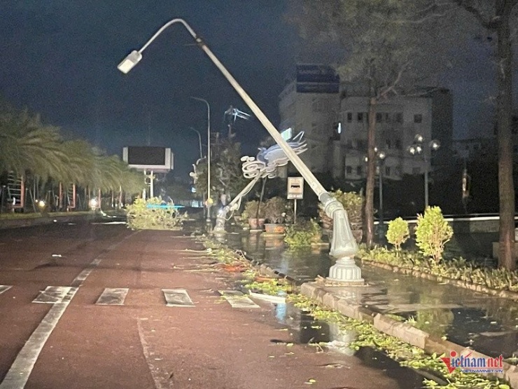 Xiêu vẹo sau bão. Ảnh: Trần Hoàn