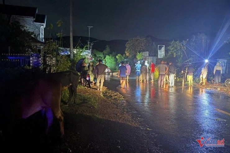 Gia súc được bà con di dời lên vùng cao hơn. Ảnh: Hải Dương