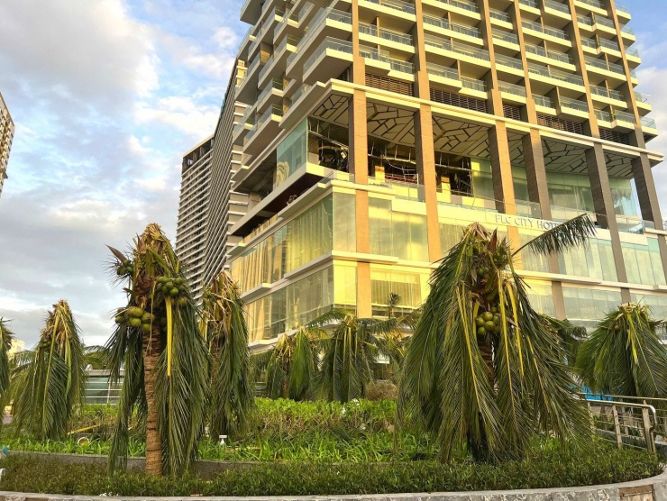 Cảnh tượng bão số 13 càn quét ở Gia Lai, thiệt hại ước tính hơn 5.000 tỷ đồng - 1