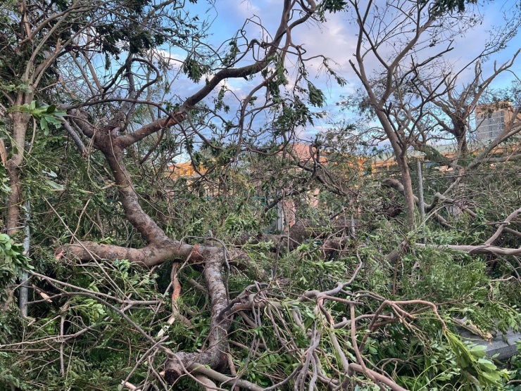 Cảnh tượng bão số 13 càn quét ở Gia Lai, thiệt hại ước tính hơn 5.000 tỷ đồng - 6