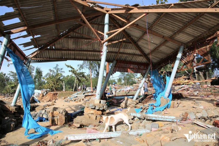 Giữa khung cảnh ngổn ngang, bà Nguyễn Thị Lệ - một góa phụ sống bằng quán ăn nhỏ ven biển, nghẹn giọng: "Tôi sống ở đây 20 năm nay, nhưng đây là lần đầu tiên chứng kiến cảnh sóng biển dâng cao, đánh mạnh vào khu dân cư ồ ạt như thế. Khu hàng quán của nhà tôi bị sóng đánh sập, thiệt hại hàng trăm triệu đồng. Chồng mất sớm, giờ tôi không biết lấy tiền đâu để dựng lại quán, nuôi con”.