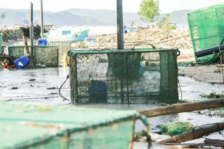 Hàng chục ngàn lồng nuôi tôm của người dân trên vịnh Xuân Đài bị bão số 13 cuốn trôi, mất trắng. Ảnh: XUÂN HOÁT
