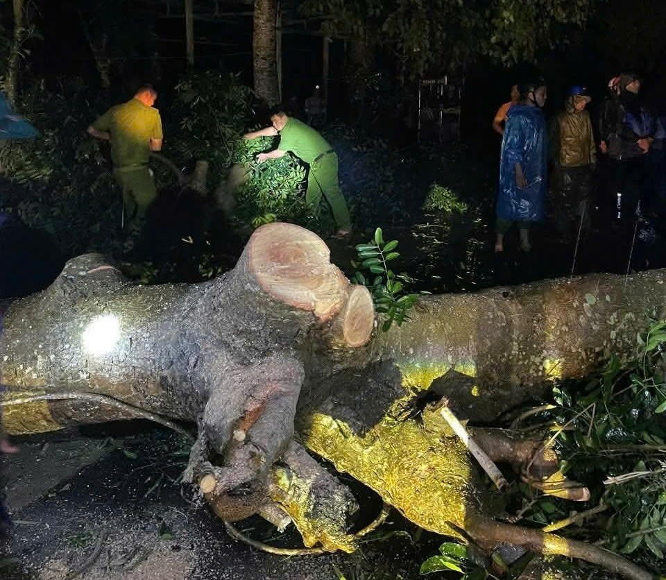 Công an Đăk Lăk cắt tỉa cây ngã đổ dọn đường sau bão. Ảnh: Phước Tuấn