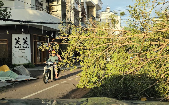 Cây đổ ngã ra đường chắn hết lối đi