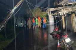 Tin tức trong ngày - Bão số 13 Kalmaegi: Những thiệt hại nặng nề ở Gia Lai, Đắk Lắk