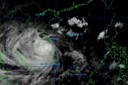 Bão số 13 Kalmaegi quét qua Tây Nguyên mạnh cấp 8-9 là hiếm gặp, mưa lớn còn tiếp diễn