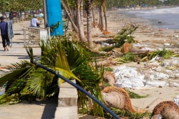 Dừa bật gốc, cát phủ kín 3 km đường ven biển Đà Nẵng