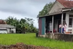 Tin tức trong ngày - Nguyên nhân vụ nổ kinh hoàng giữa ruộng lúa áp nhà dân ở Quảng Trị
