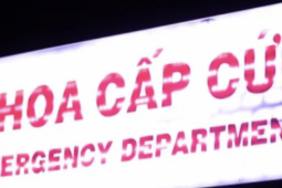 Sức khỏe đời sống - Hơn 40 người đau bụng, nôn ói sau khi ăn bánh mì ở TPHCM