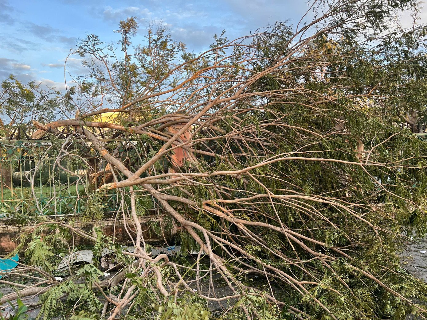 Cây cối ngã rạp trên hầu hết các tuyến đường phía đông Gia Lai.