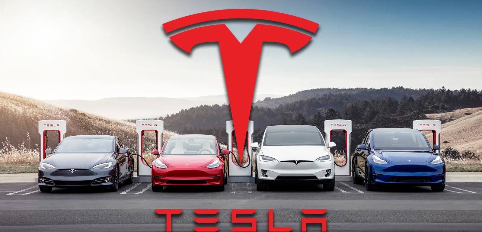 Tesla và dòng xe của hãng.