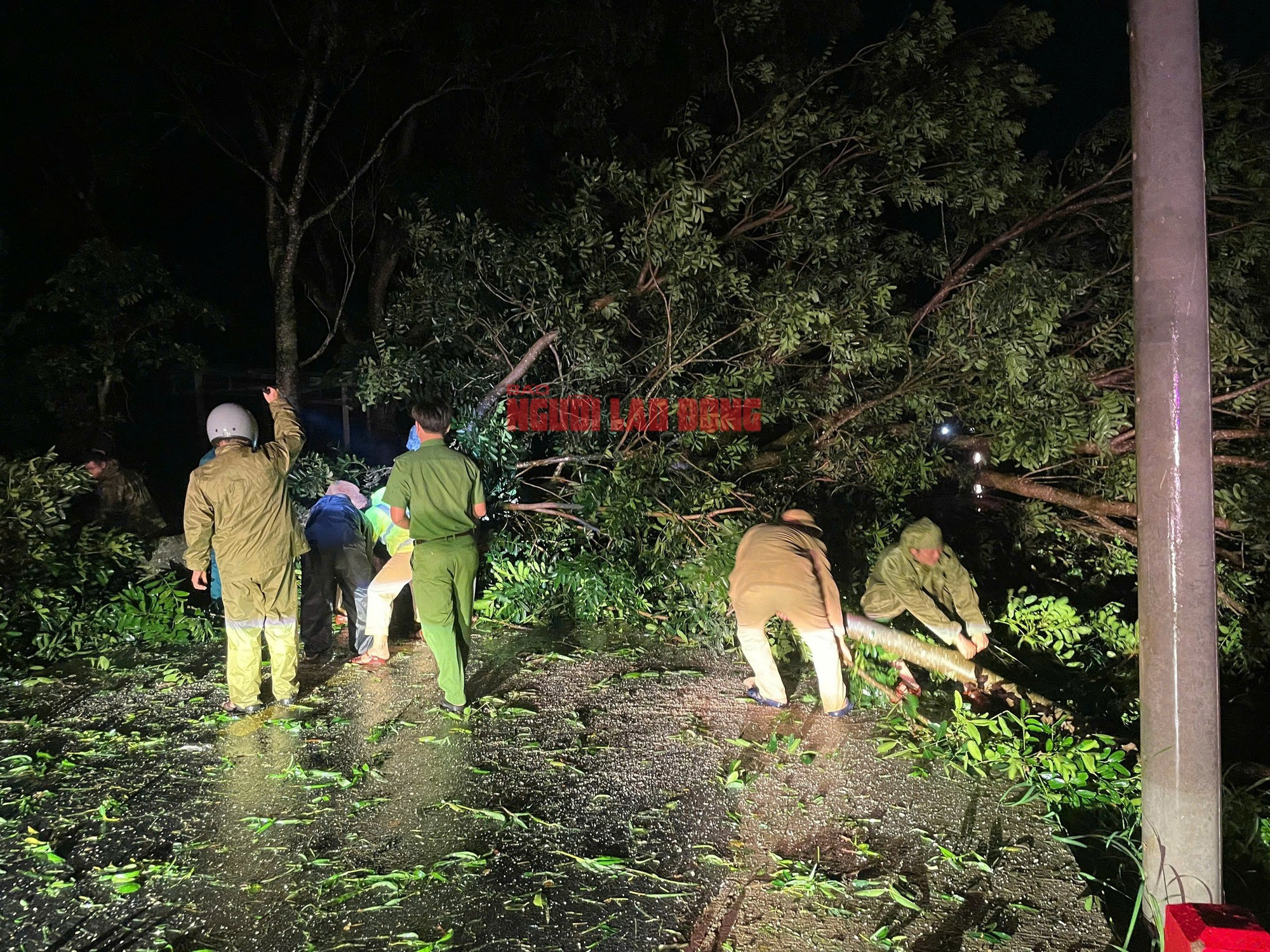 Những hình ảnh đầu tiên về thiệt hại ở Gia Lai, Đắk Lắk sau bão số 13 - 9