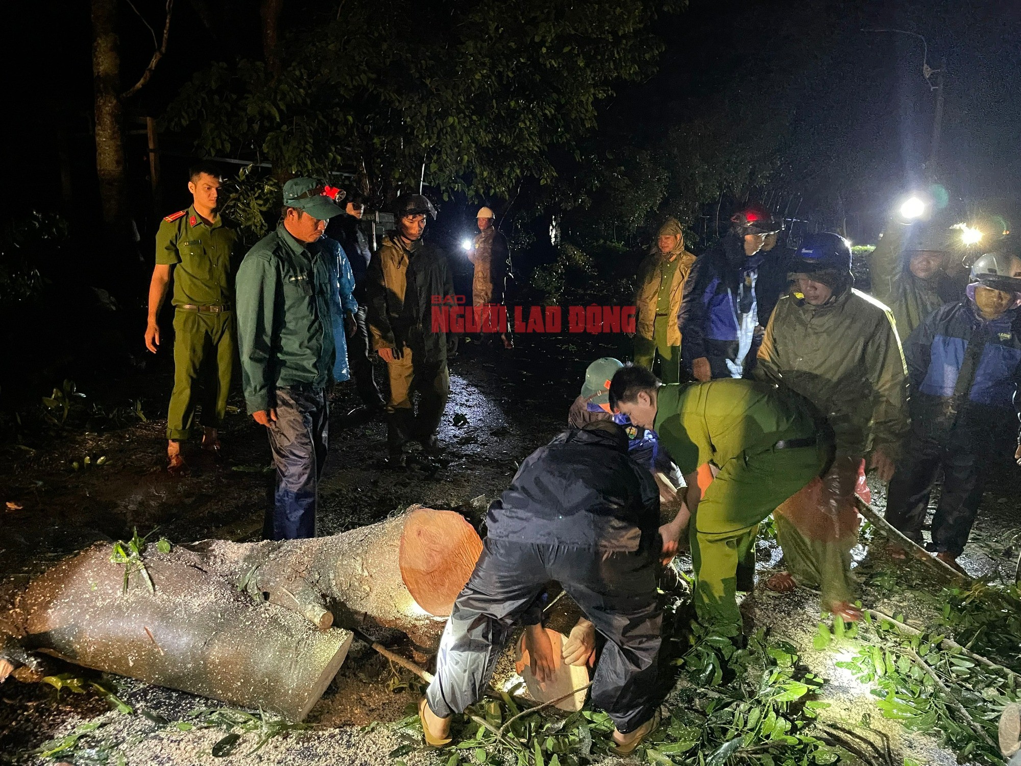 Những hình ảnh đầu tiên về thiệt hại ở Gia Lai, Đắk Lắk sau bão số 13 - 10