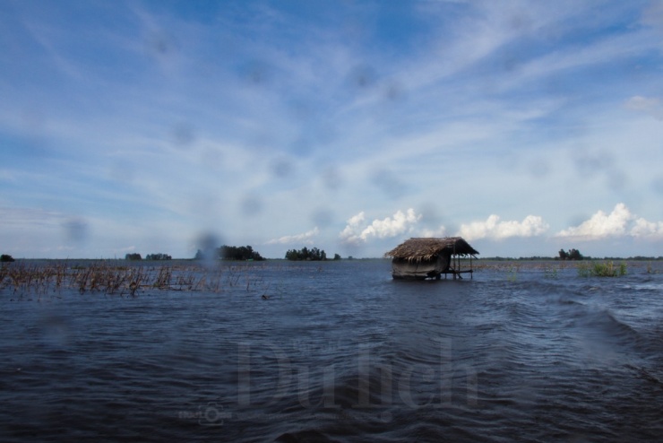 Tháng 11 mưa dông tầm tã, cuốn thêm dòng nước từ sông Mê Kông rộn ràng chảy qua những kênh rạch đan xen, mang theo phù sa đỏ thắm đổ về vùng đồng bằng.