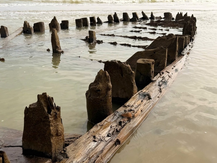 Báo cáo nghiên cứu của Trung tâm Quản lý bảo tồn di sản văn hoá Hội An phối hợp với Trường Đại học khoa học xã hội và nhân văn (Đại học Quốc gia TP. Hồ Chí Minh) thực hiện cho thấy, con tàu gỗ bị đắm có kích thước lớn, cấu trúc mạnh mẽ, kết hợp giữa truyền thống đóng tàu Đông Nam Á với Trung Quốc. Tàu được làm từ gỗ bằng lăng, kiền kiền tại Đông Nam Á và gỗ thông từ Trung Quốc; dùng chất xảm trét lên gỗ ngăn chặn sự xâm nhập của nước biển.