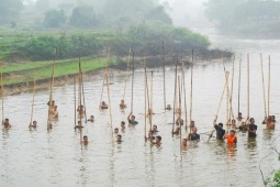 Tin tức trong ngày - Dưới mưa lạnh, trai tráng Phúc Thọ vẫn hò reo 'dập' cá trên sông Tích Giang