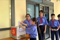 Lý do nhiều trường học tại TPHCM không nhận hoa ngày 20/11