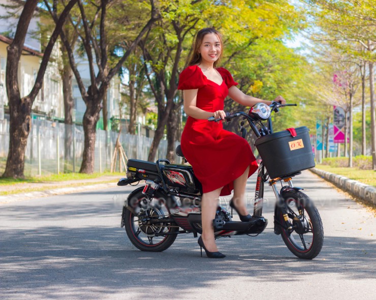 Giá xe đạp điện Vnbike mới nhất tháng 11/2025 - 2