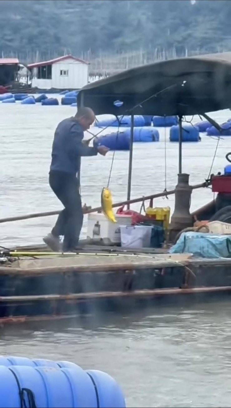 Người đàn ông câu được con cá có màu vàng óng.