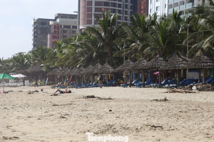 Bãi biển Đà Nẵng lại sạch đẹp như chưa hề có... bão - 2