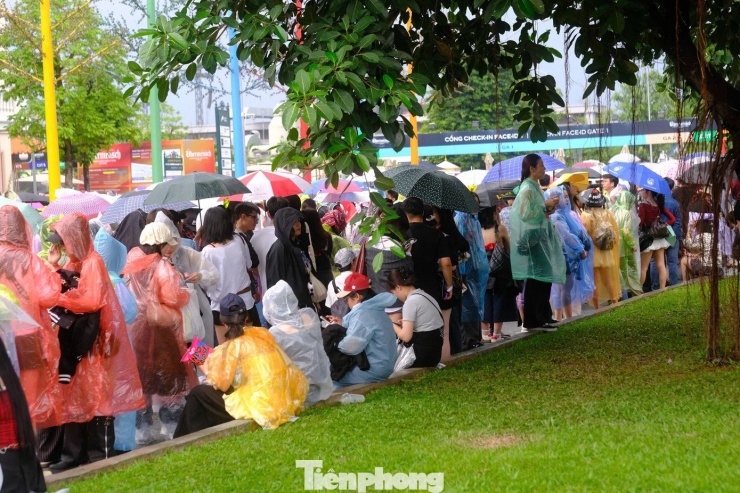 Người hâm mộ mặc áo mưa kín mít. Ban tổ chức huy động số lượng lớn áo mưa giấy để phát miễn phí cho khán giả.