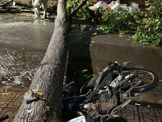 Khu vực Phú Giáo, TP HCM mưa to kèm gió giật mạnh, cây ngã đổ la liệt - 4