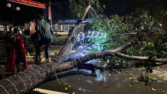 Khu vực Phú Giáo, TP HCM mưa to kèm gió giật mạnh, cây ngã đổ la liệt - 5