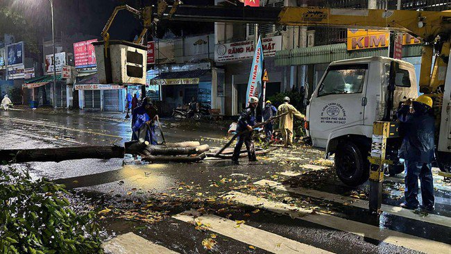 Khu vực Phú Giáo, TP HCM mưa to kèm gió giật mạnh, cây ngã đổ la liệt - 6