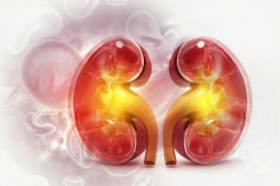 8 điều cần làm để bảo vệ 2 quả thận quý hơn vàng