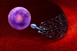 10 cách tăng số lượng tinh trùng, quý ông nhất định phải biết