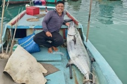 Một mình vật lộn giữa biển Phú Quý câu được "quái vật" cá thu gần 60kg