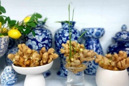 Thị trường - Tiêu dùng - Chị em rộ trend trồng gừng bonsai xả stress, hút tài lộc