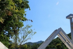 2 học sinh xuất sắc bị trượt đại học vì từng liên quan đến bạo lực học đường