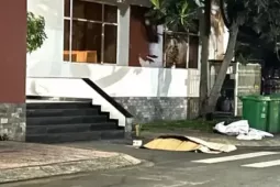 Nam sinh tử vong trong trường đại học khi rơi từ tầng 8