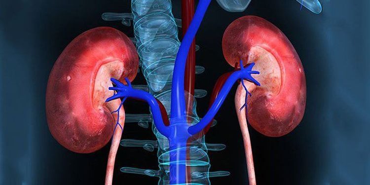 8 điều cần làm để bảo vệ 2 quả thận quý hơn vàng - 3