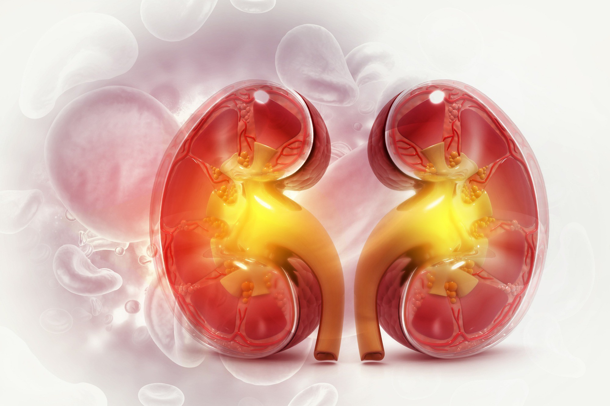 8 điều cần làm để bảo vệ 2 quả thận quý hơn vàng - 2