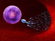 10 cách tăng số lượng tinh trùng, quý ông nhất định phải biết