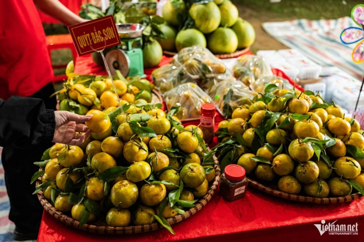 Những trái quýt vàng có mùi thơm đặc biệt