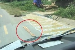 Tin tức trong ngày - Phơi lúa trên đường: Coi chừng bị xử lý hình sự