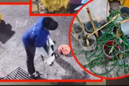 Tin tức trong ngày - Trailer điều tra: Thâm nhập đường dây ‘mèo tặc’ ở trung tâm TP.HCM