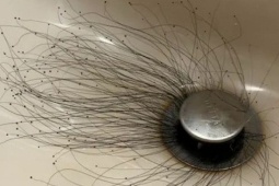 Bạn trẻ - Cuộc sống - Người đàn ông sốc nặng khi thấy thứ đáng sợ mọc ra từ bồn rửa mặt