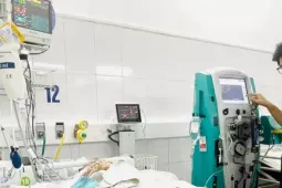 Dọn dẹp sau mưa lũ, nhiều người bị rắn độc cắn