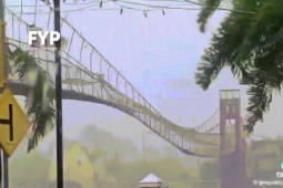 VIDEO: Cầu rung lắc dữ dội trong siêu bão Fung-wong ở Philippines