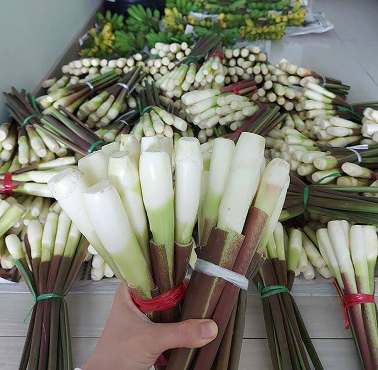 Niễng là đặc sản nổi tiếng ở Ninh Bình (tỉnh Nam Định) cũ. Hiện đang vào chính vụ, củ niễng được bày bán nhiều tại các chợ dân sinh ở Hà Nội và trên chợ mạng, với giá dao động từ 50.000 – 70.000 đồng/kg hoặc bán theo bó.
