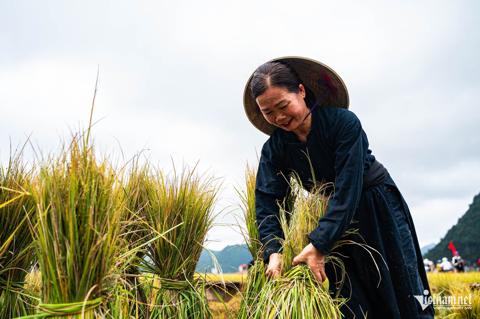 Người dân và du khách thích thú xem bà con thi gặt lúa&nbsp;