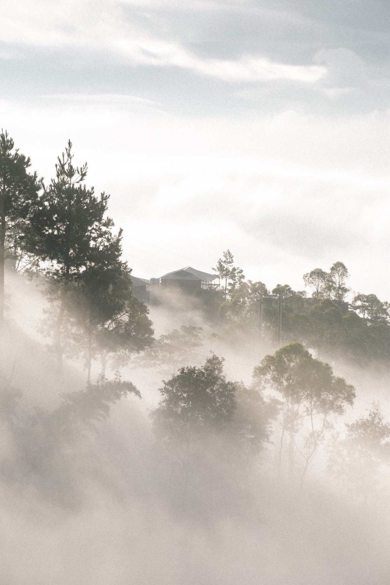 Ngắm biển mây giữa núi non Tây Bắc - 7