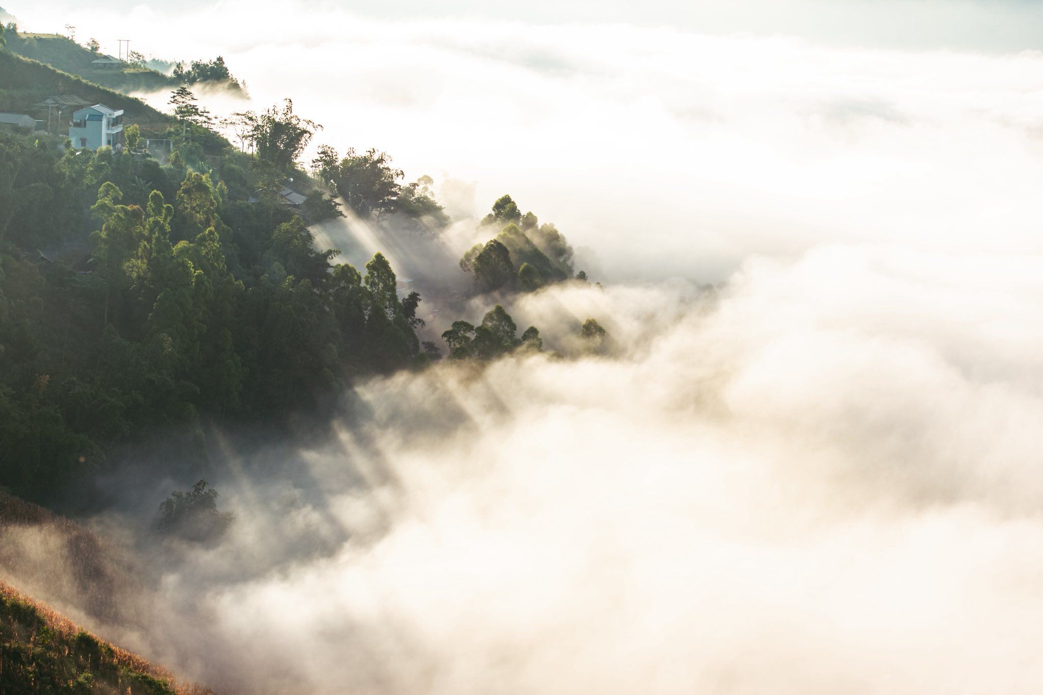 Ngắm biển mây giữa núi non Tây Bắc - 3